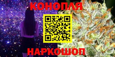 дмт Шелехов