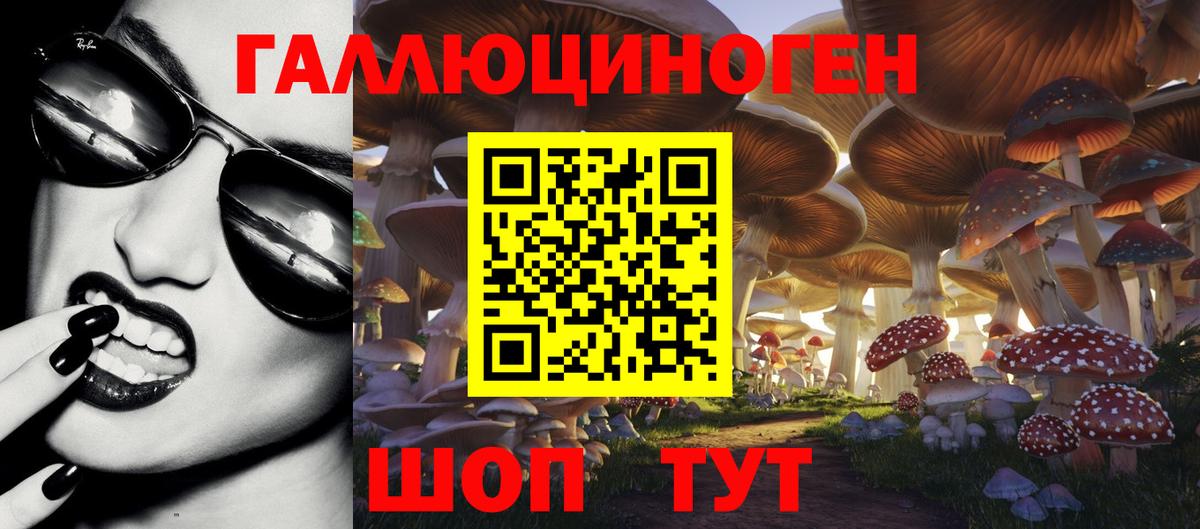 Псилоцибиновые грибы Cubensis  Вход с VPN  продажа наркотиков  Новозыбков  Галлюциногенные грибы MAGIC MUSHROOMS 